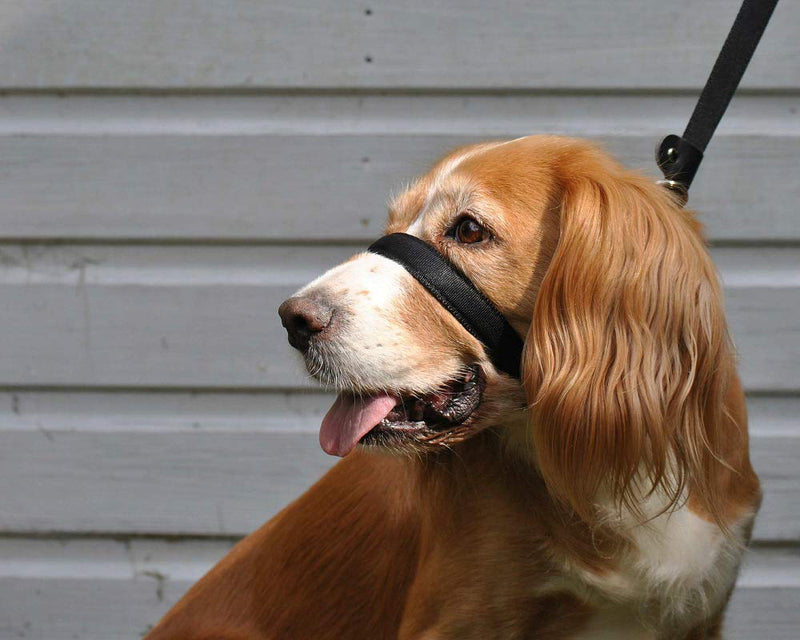 UniWalker Figure of 8 Training Lead for dogs that pull. With collar strap included. 3 leads in 1. Black