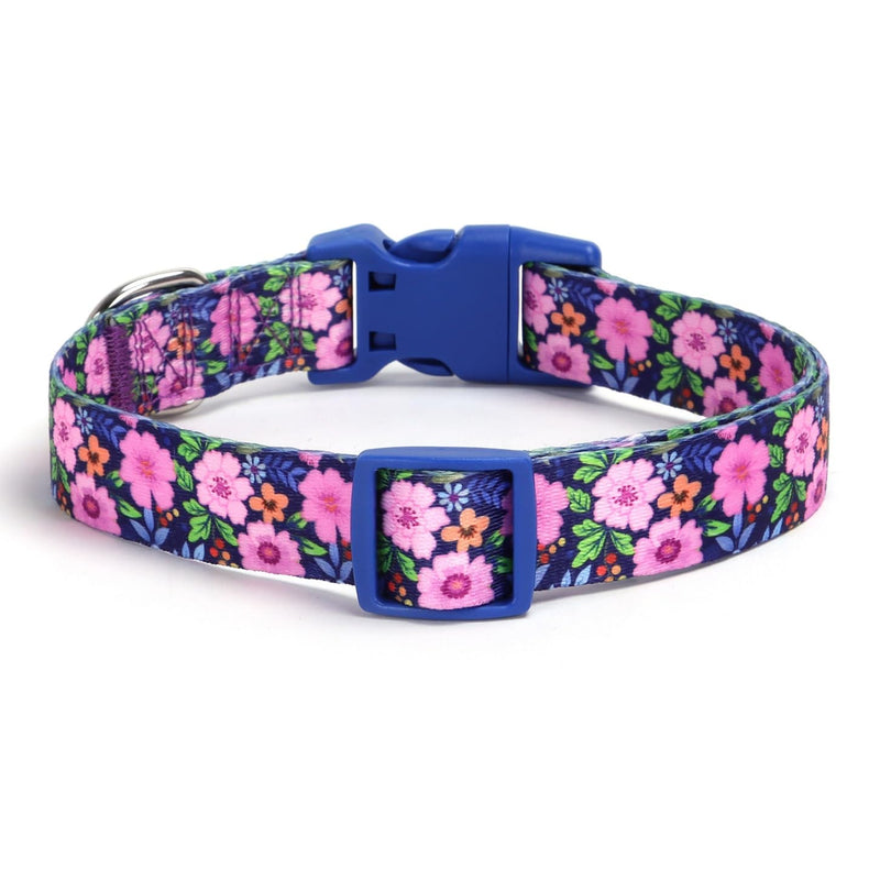 Dog Collar with Leash Airtag Holder Case Set - Dog Collars for Male Female Boy Girl Puppy X-Small Small Medium Large Dogs Walking Running Training - Daisy/XS XS:7.8-11.8'' girth , 0.6'' width