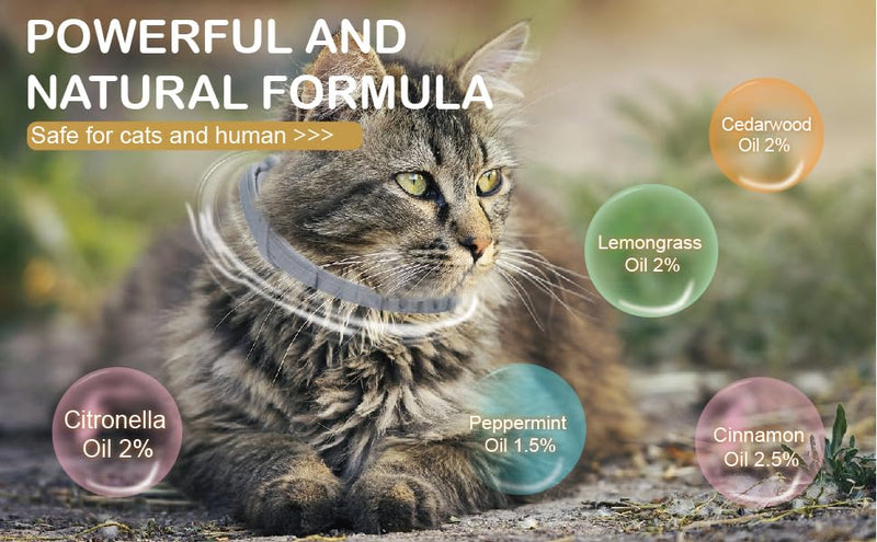 Flea and Tick Collar for Cats &Kitten, Natural Essential Oil Flea and Tick Prevention for Cats, 15 Inch, 8 Month Protection, 2 Pack - PawsPlanet Australia