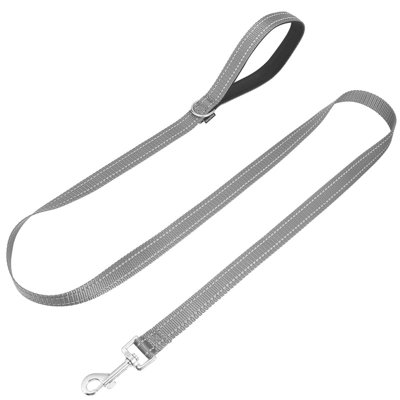 Reflective Nylon Dog Leash for Walking,Strong Dog Leash with Padded Handle for Small and Medium Dogs,5 FT,Grey Grey 3/4" x 5 FT - PawsPlanet Australia