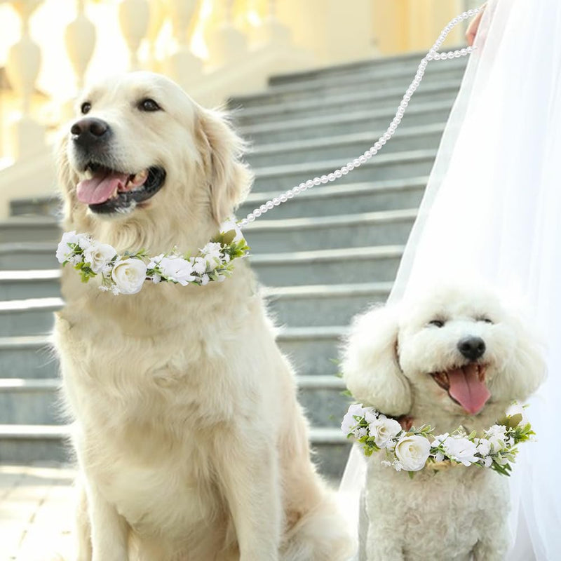 2Pcs Dog Wedding Flower Collar with Pearls Beaded Leash, Dog Flower Collar Wedding and Leash Set Pearls, Elegant Dogs Flowers Headband, Pet Photo Prop for Medium Dogs Floral Collars Pet - PawsPlanet Australia