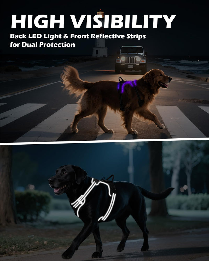 Joytale Light Up Dog Harness, No Pull Dog Harness USB Rechargeable for Night Walking with 3 Lightning Modes and Soft Handle, Adjustable Reflective Lighted Safety Vest,Black-Purple, L - PawsPlanet Australia