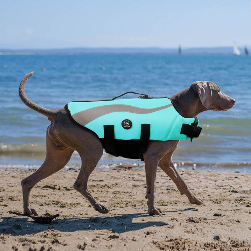 EMUST Life Jacket for Large Dogs, Dog Life Vest for Small/Medium/Large Dogs with Double Rescue Handles, High Reflective Dog Life Preserver for Swimming, Turquoise,L L - PawsPlanet Australia