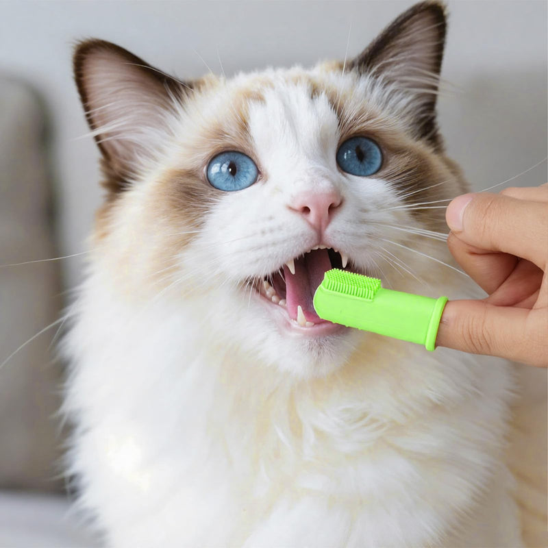 80 Pcs Finger Toothbrushes for Dogs, Food Grade Silicone Soft Pet Finger Brushes Washable Toothbrush for Small Dog Cat Easy Cleaning Dental and Oral Care(4 Colors) - PawsPlanet Australia