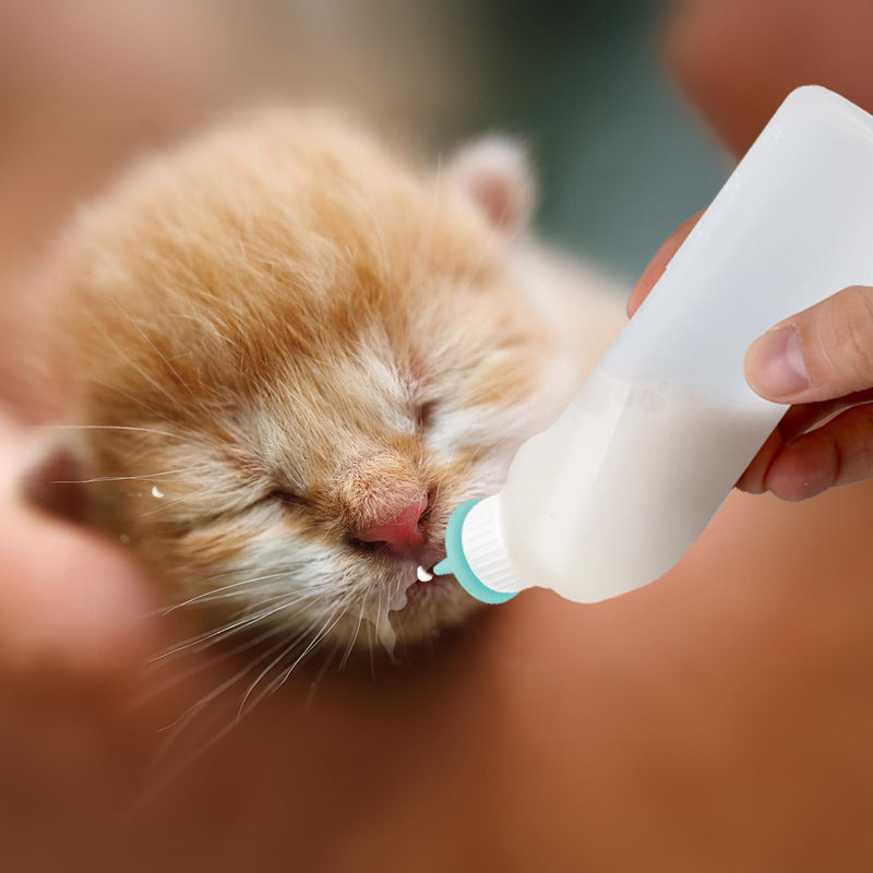 5Pack Kitten Bottle for Nursing Puppy Milk Kitten Bottles Feeding Kit Silicone Nipple for Newborn Pets Kittens, Puppy,Squirrel (Green) - PawsPlanet Australia
