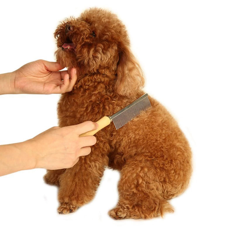 Silver Dog and Cat Combs For Grooming Long Haired Cats and Dogs - Pet Dog Cat Comb Stainless Steel Pin Teeth Wooden Handle Grooming Fur Hair Brush - Comb Removes and Prevents Matted Fur，Grooming - PawsPlanet Australia