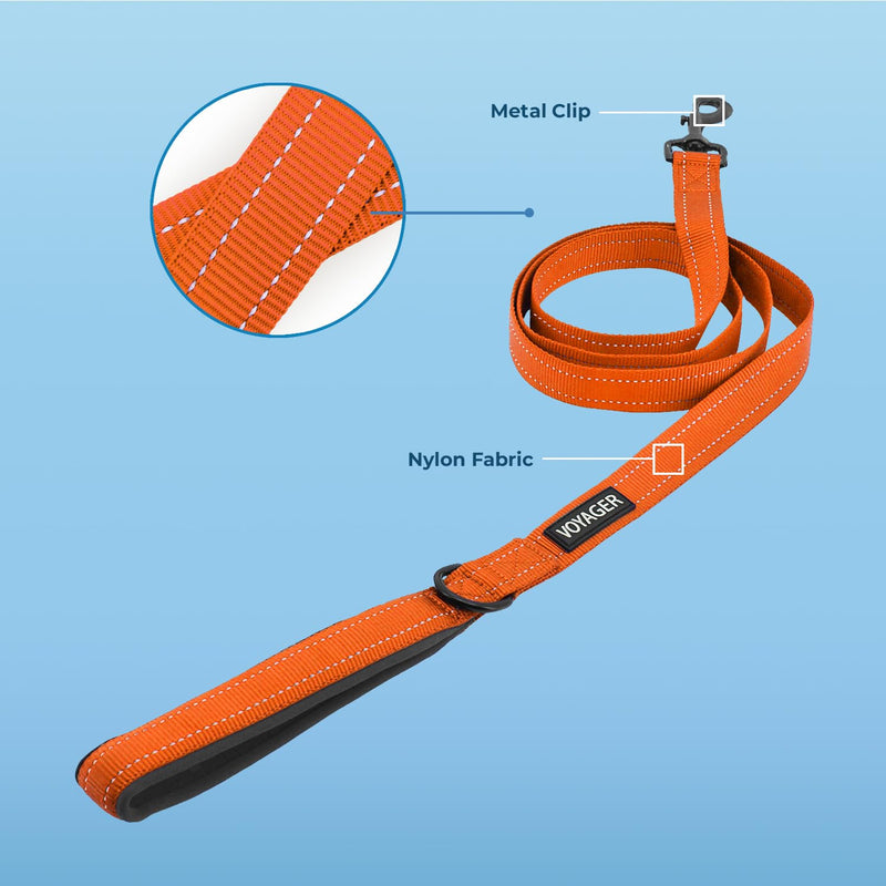Best Pet Supplies Voyager Reflective Dog Leash or Collar with Neoprene Handle, for Small, Medium, and Large Breed Puppies, Cute and Heavy Duty for Walking, Running and Training - Orange, L