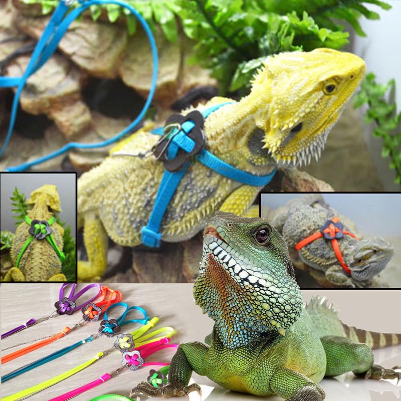 Adjustable 4.72inch Reptile Lizard Harness Leash,Turtle Lizard Pet Traction Belt Bearded Dragon Accessories Soft Small Pet Animal Harness Rope Outdoor Used(Blue) Blue - PawsPlanet Australia