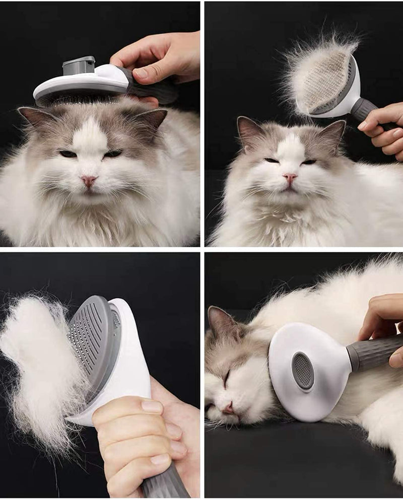 DASHH Glove + Brush for Dogs and Cats, Comb and Self-Cleaning Grooming for Pets, Removing Excess and Dead Animal Hair.