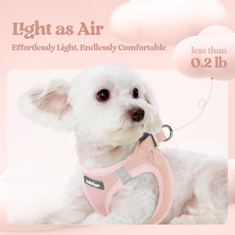 rabbitgoo Dog Harness Small Sized and Leash Set, Step in Soft Light Puppy Vest, Breathable Mesh Pet Harness, Reflective for Safe Outdoor Walking, Pink S S (Chest: 15.1 - 16.5") - PawsPlanet Australia