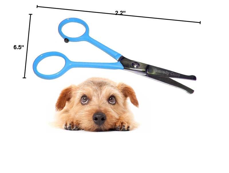 Tiny Trim 4.5" Ball-Tipped Scissor for Dog, Cat and all Pet Grooming - Ear, Nose, Face & Paw - Scaredy Cut's small Safety Scissor Blue Tiny Trim Safety Scissor - PawsPlanet Australia
