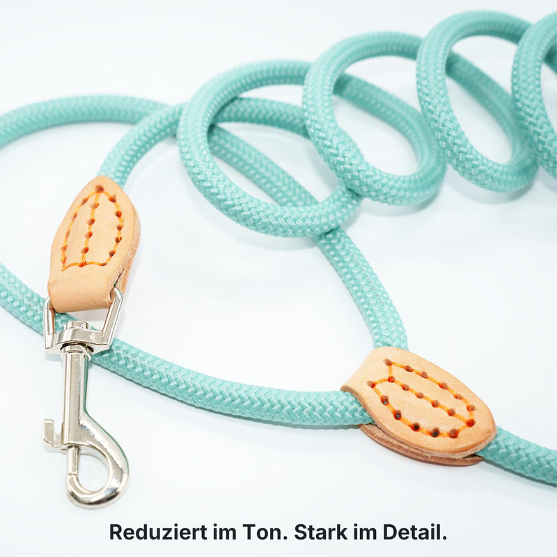 Dog Lead 2 m & 3 m - Robust Round Rope Rope for Small, Medium & Large Dogs, Reflective & Lightweight - Nylon Lead with Safety Carabiner & Leather Handles (2 m x 0.8 cm, Light Blue) lightblue 2m x 0.8cm