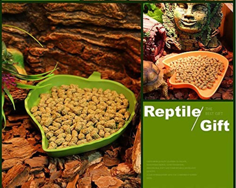 2 pack Leaf Reptile Food and Water Bowl for Pet Aquarium Ornament Terrarium Dish Plate Lizards Tortoises or Small Reptiles - PawsPlanet Australia