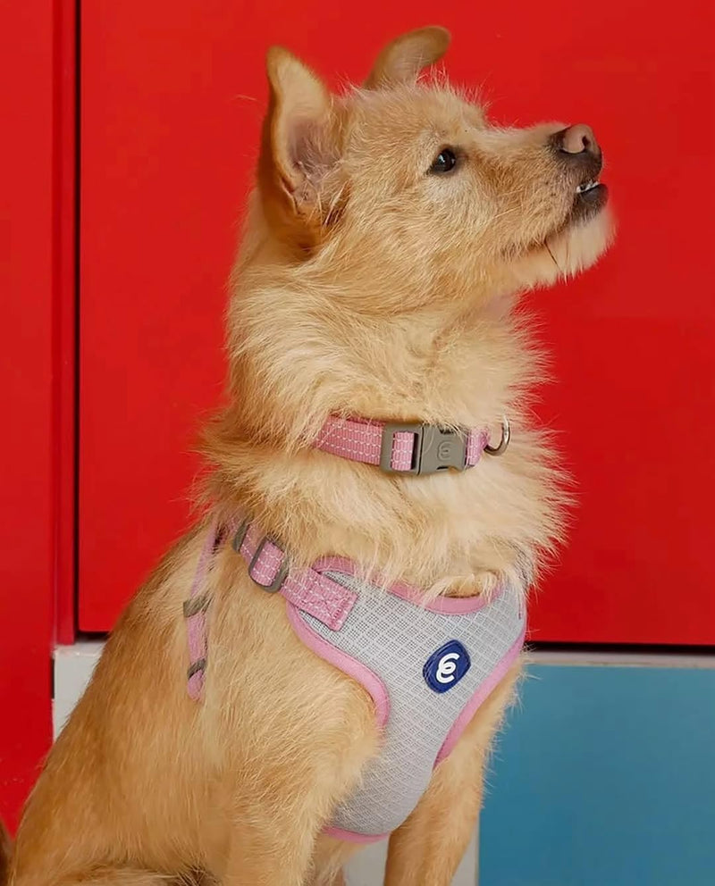 Blueberry Pet Essentials Back to Basics Reflective Dog Harness Vest, Mauve Orchid, Small, Adjustable Harnesses for Dogs Small (Pack of 1) - PawsPlanet Australia