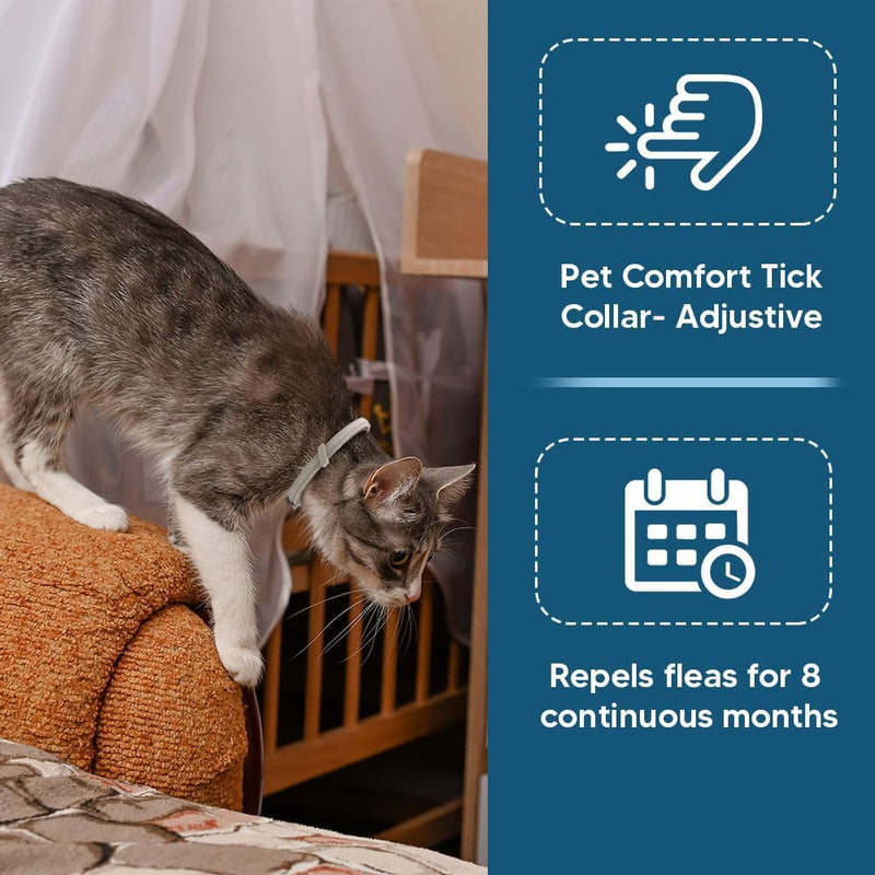fcesiweg Flea Collar for Cats,Natural Cat Flea Tick Collar,Adjustable Tick Collars for Cats,Plant Ingredients,8 Months of Protection,Easy to Apply,People & Pet Friendly - 2P 2 ounce ( pack of 2 )