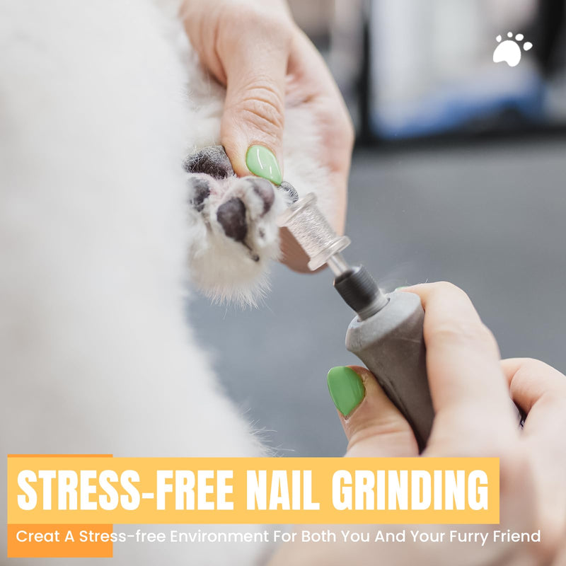 CAELUM 2Pack Diamond-Coated Pet Nail Grinder Bits, Dual Grit for Large & Small Dogs, 1/8” Shank for Dremel Nail Tools, Low Noise, Durable Nail Trimmer for Dogs, Top & Side Grinding 2pcs-60/120Grit+80/120Grit - PawsPlanet Australia