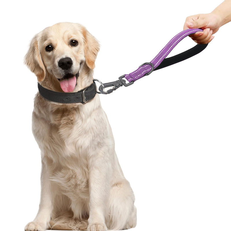 12 Inch Short Training Dog Leash with Padded Handle for Large Dogs, Lead with Locking Carabiner Clip, Strong Training Leash (Purple,12 Inch) 12 InchFT Purple - PawsPlanet Australia