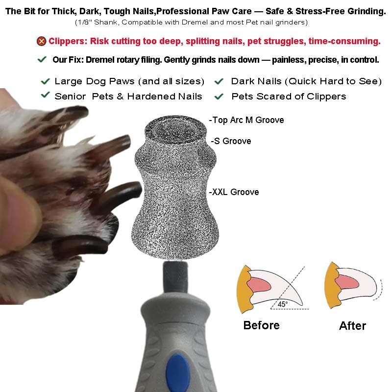 Painless for Dremel Dog Nail Grinder Attachment Replacement Heads - Diamond Bit Refill Tips Fit Dremel 7760 & 7350, Smooth Grinder Tool Accessories for Small/Medium/Large Dog/Cat Thick Nail Grinding Diamond Replacement Bit-80#Grit - PawsPlanet Australia