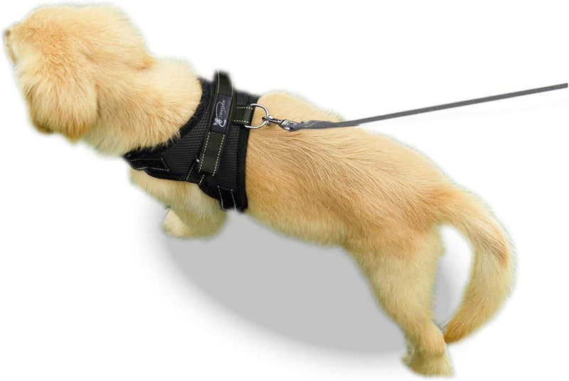 No Pull Reflective Adjustable Dog Harness with Handle- Comfortable Soft All Weather Mesh, Easy On Puppy Harness for Small Medium and Large Dogs (Black) Small Black - PawsPlanet Australia