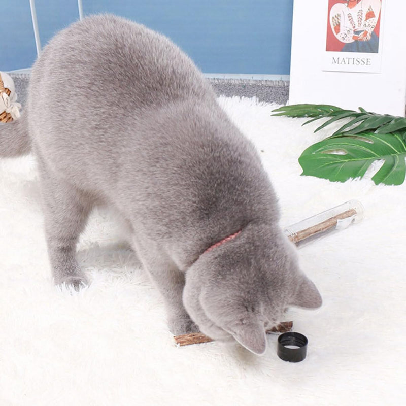 TOYANDONA Cat and Dog Chew Toys, 5 Pieces, with Catnip, Dental Care Sticks for Cleaning and Chewing for Indoor Pets