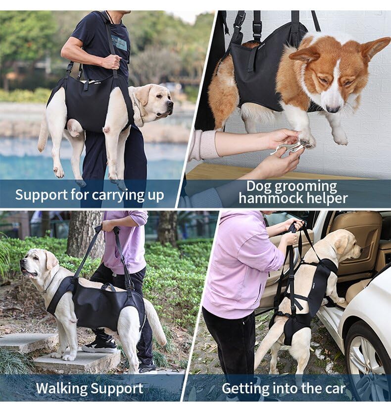 Dog Lift Harness, Dog Carry Strap, Pet Support for Rehabilitation Sling Lift Straps for Old, Disabled, Joint Injuries, Arthritis, Black, XL