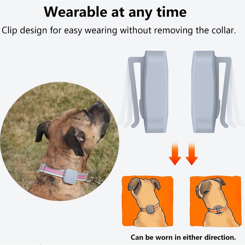 Dog Training Collar with Remote Controller - E Collar for Dogs Training Small, Medium, Large Dog Training, Waterproof Dog Collar, Rechargeable Dog Training & Behavior Aids Dog Accessories - PawsPlanet Australia