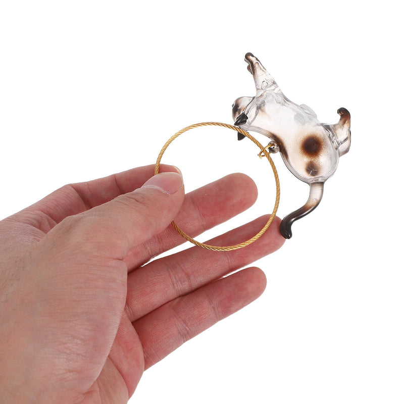 BESTYASH Plastic Keyring with Pet Hair Organizer and Transparent Storage Box, Pet Hair Capsule for Cat Lovers and Everyday Use