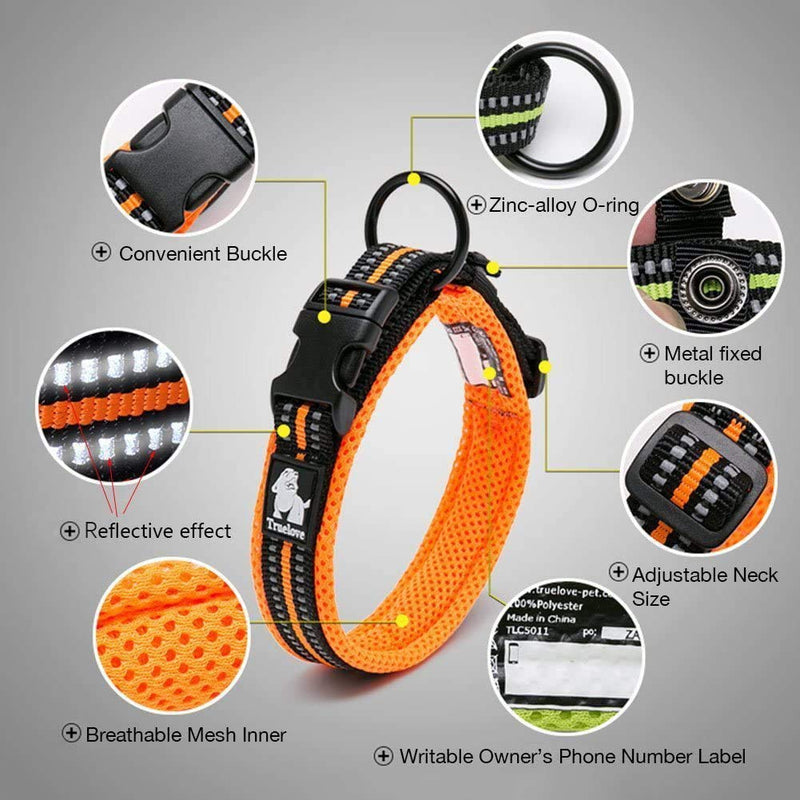 Creation Core Reflective Nylon Dog Collar and Training Leash Set for All Season Padded Durable Adjustable, Blue M M(15.7-17.7") - PawsPlanet Australia