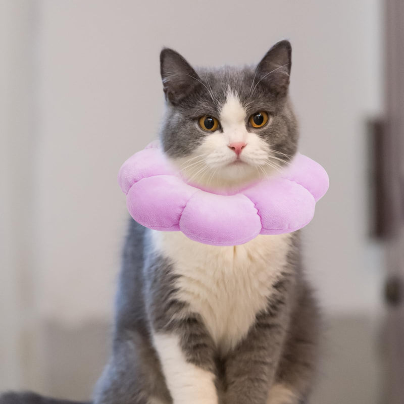 Soft Cat Collar with 1 Flea Comb, Cat Collar Lick Protection Cat, Adjustable Collar for Cats and Small Dogs, Cat Collar Recovery Cat Collar After Surgery (Purple, M)