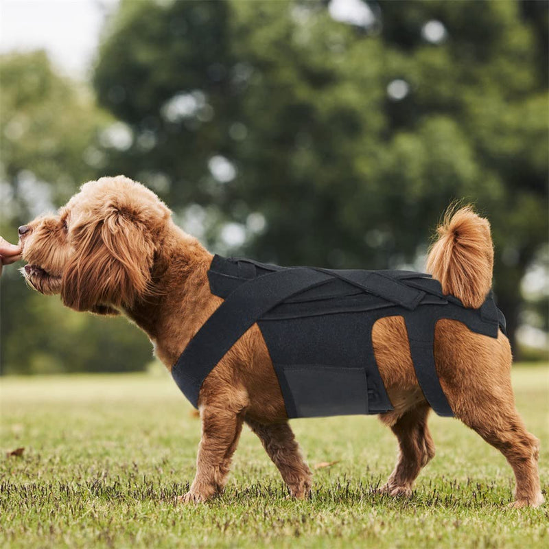 Dog Back Brace for IVDD,Pet Dog Back Brace Comfortable Full Body Harness Dog Clothing Dog Back Protector S
