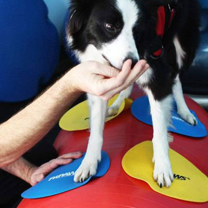 FitPAWS Targets - PawsPlanet Australia