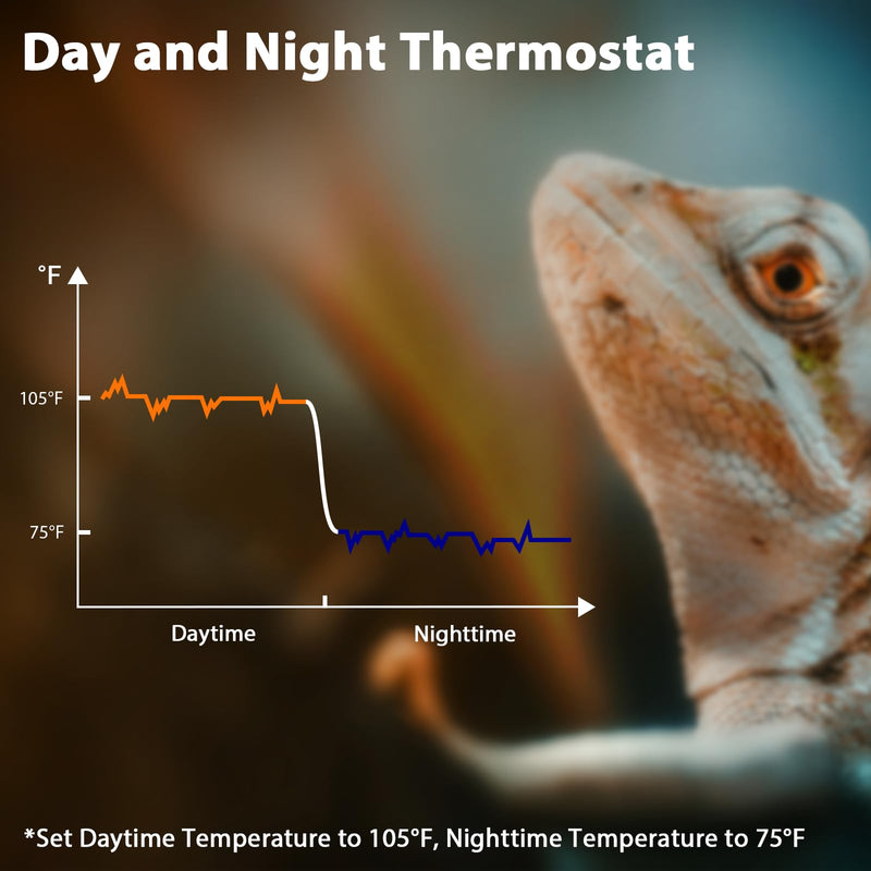 Reptile Dimming Thermostat, Adjustable Day and Night Temperature, Thermostat for Reptile Heat Lamp Heat Pad, PID Temperature Controller, Memory Function, ℉/℃ - PawsPlanet Australia