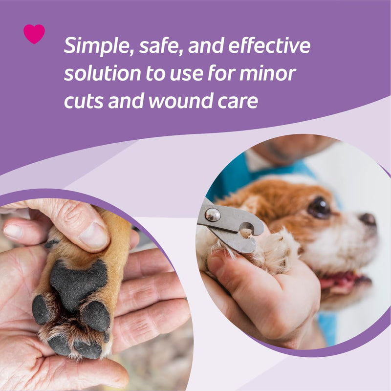 Silver Nitrate 75% Applicator (Pack of 10 - Large) – Flexible Single-Use Nail, Paw & Minor Wound Care for Pets –Tool To Use At Home for Grooming & Small Wounds