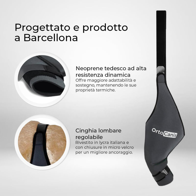 Ortocanis - Dog Knee Brace - for Right Hind Leg - Made of ARD Neoprene - for ACL Tear, Ligament Injuries, Patellar Luxation or Osteoarthritis - Size X-Small (8,3-9,4 ") Right Leg Size X-Small (8,3 - 9,4 ") - PawsPlanet Australia