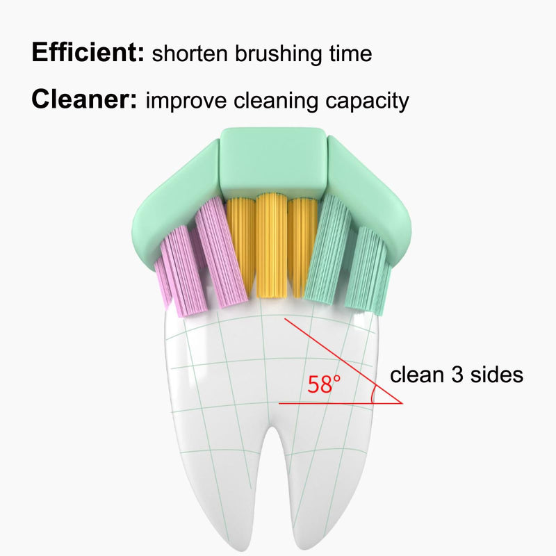 Three Sided Dog Toothbrush Kit, 2 Size Toothbrush for Adult Puppy with Small Soft Head, Pet Teeth Deep Clean Dense Brush, Small Dog Tooth Cleaning