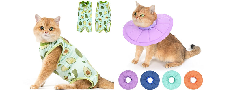 Avont Cat Recovery Suit - Kitten Onesie Bundle with Lightweight Cat Recovery Cone Adjustable for After Surgery, M