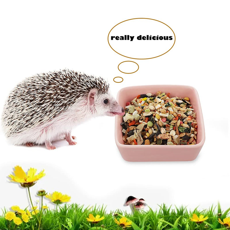 2 Pcs Pet Ceramic Food Bowl and Water Dish Feeder for Guinea Pig Hedgehog Squirrel Small Animals