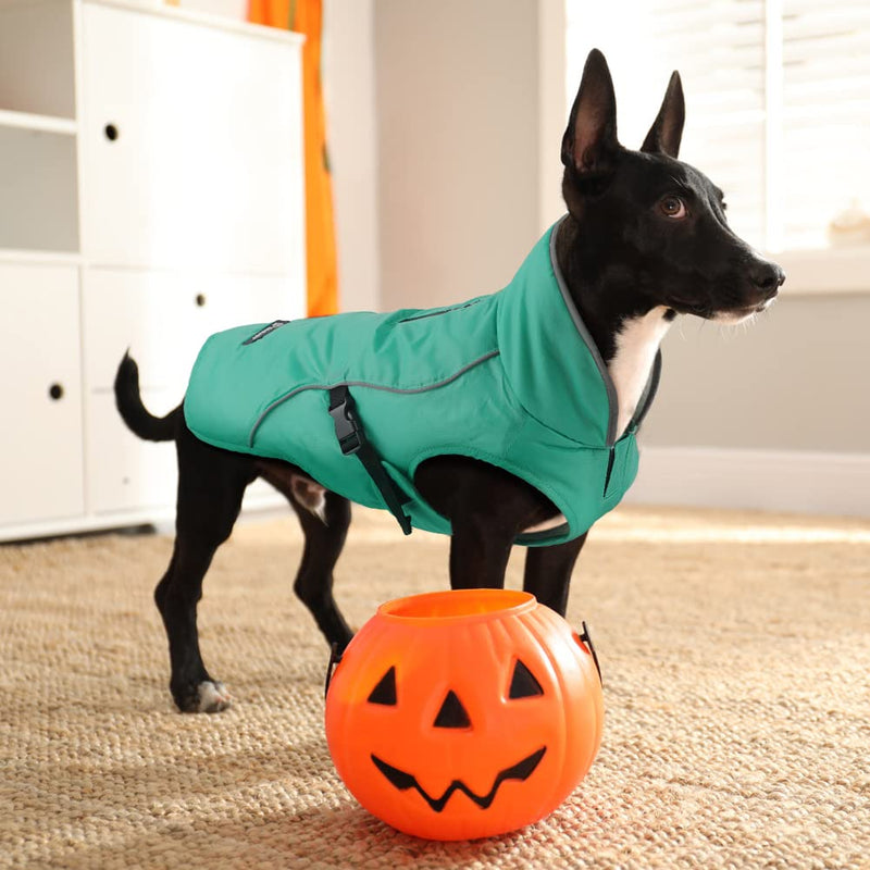 EMUST Dog Coat Winter, Waterproof Pet Snow Jacket for Winter, Adjustable Small/Medium/Large Dog Coat, Turquoise, L Large