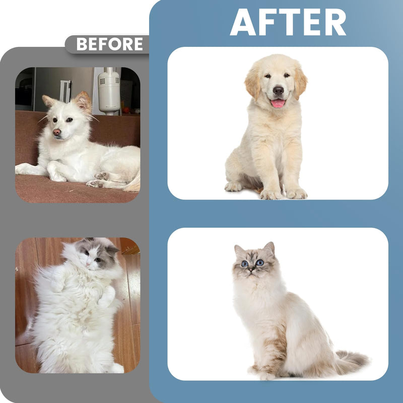 Generic Cat Brush Dog Brush for Shedding,Pet Grooming Brush,Dematting Deshedding Brush Dogs Shedding Tool for Long matted Haired Pets,Dogs &Cats-Safe and Effective Dematting Comb, Large, blue