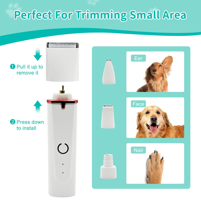 Dog Grooming Kit & Clipper - Low Noise, Cordless & Rechargeable Electric Pet Groomer, 4-in-1 Safe Trimmer for Dogs/Cats - Gentle on Paws, Face, Ears & Sensitive Areas - PawsPlanet Australia