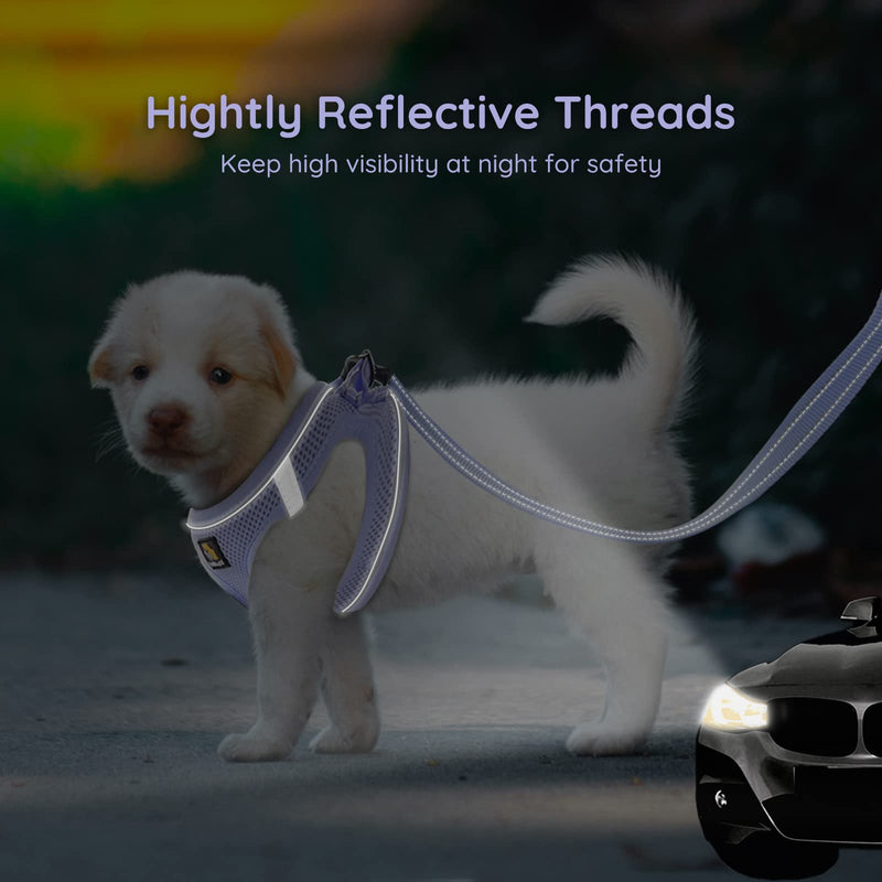 BELLA & PAL Puppy Harness with Leash Set, Dog Harness for Small Dogs No Pull, Dog Leash for Small Dogs, Step in Harness for Extra Small Dogs, Purple Lavender Harness, S - PawsPlanet Australia