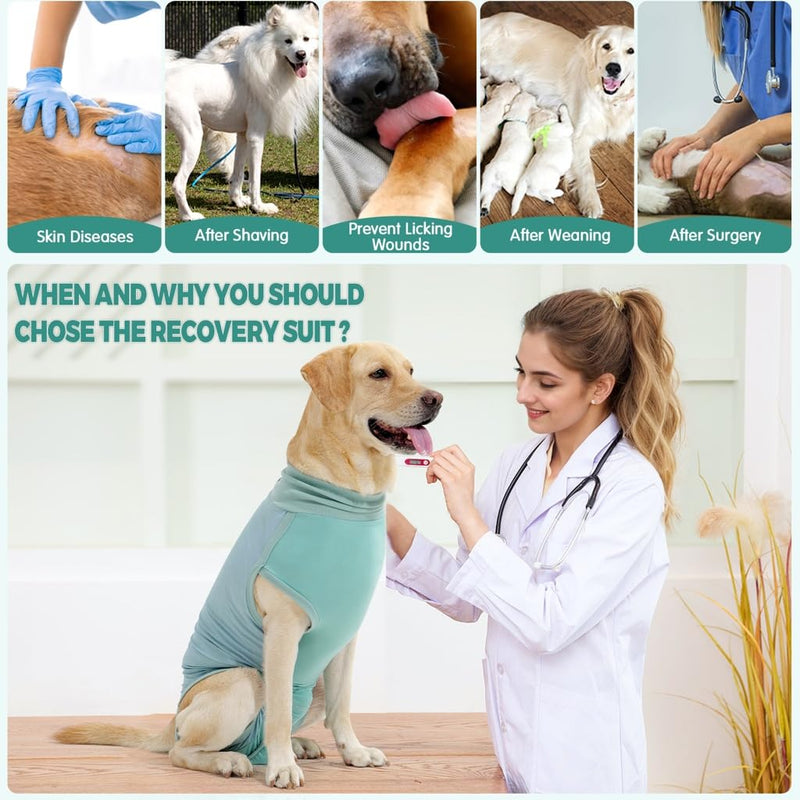 Dotoner Dog Recovery Suit – Female Spay Bodysuit for Dogs After Surgery, Breathable Surgical Vest Substitute for Recovery Collars for Female and Male, Anti Licking for Large and Small Dogs