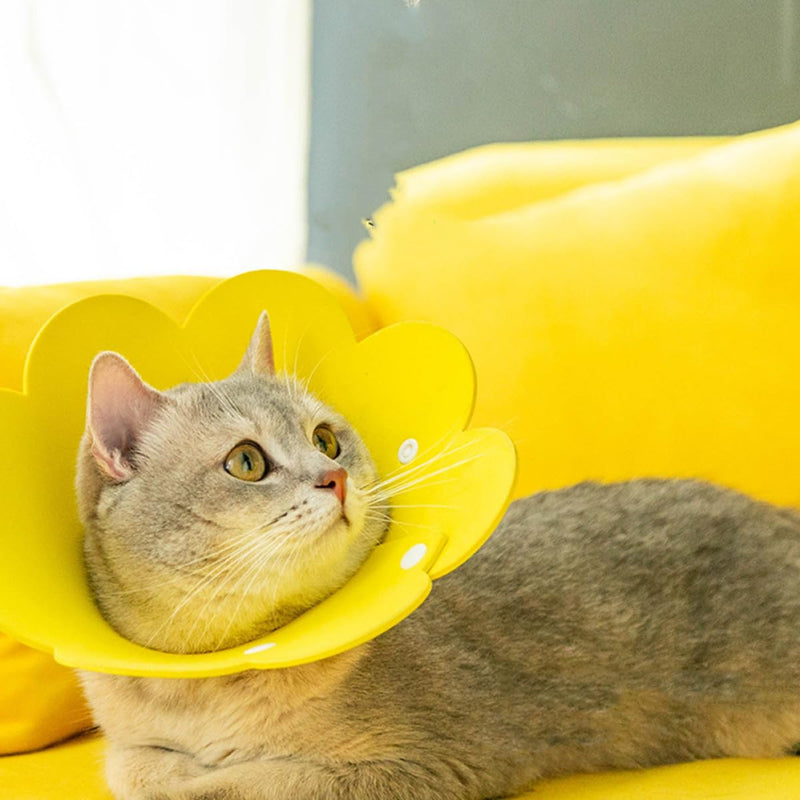 STOBAZA 2 Pieces Soft EVA Sponge Sunflower-Shaped Cat Collars Washable Elizabethan Collar for Post-Surgery Protection for Pets