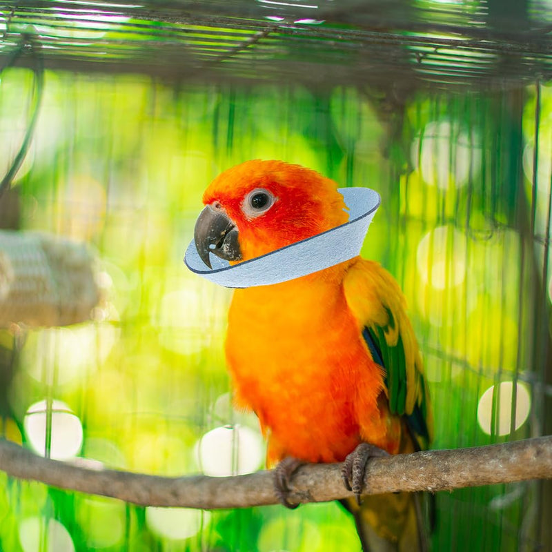 VANZACK Bird Cone Collar Adjustable Bird Parrot Tapered Collar Parrot Recovery Cones Neck Quaker Leather Bird Neck Protector Parrot Feather Protection Collar Sky-Blue - PawsPlanet Australia