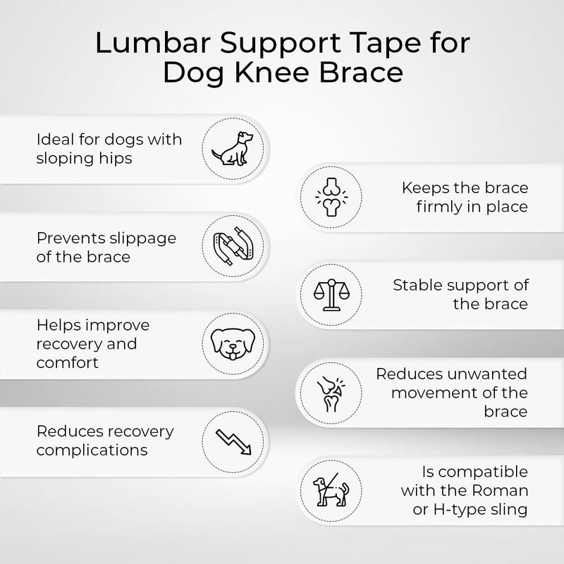 Ortocanis - Knee Brace Fastening Belt for Dog - Prevents Slippage - Improves Stability and Recovery - Size Harness + Leash: L 69-96 cm Belt for Knee Brace Size L (27-37")