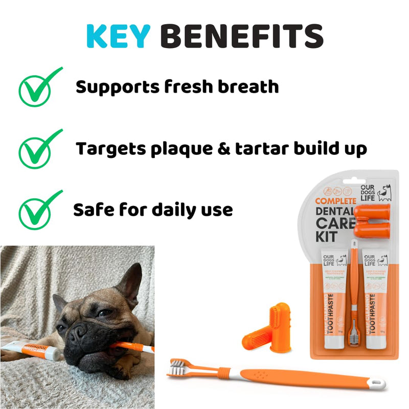 Dog Toothbrush with Toothpaste | Approved Dog Dental Kit | Triple Headed Deep Cleaning Toothbrush for Dogs + 100% Natural Tooth-Paste | Freshen Breathe & Remove Plaque (Dental Kit)