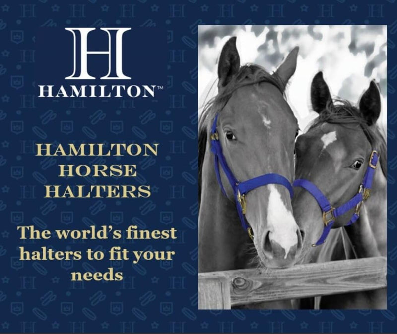 Hamilton Deluxe Horse Halter, 1" Triple Ply Nylon, Yearling or Standard Donkey, 300-500 lbs, Dark Green Yearling, 300-500lbs - PawsPlanet Australia