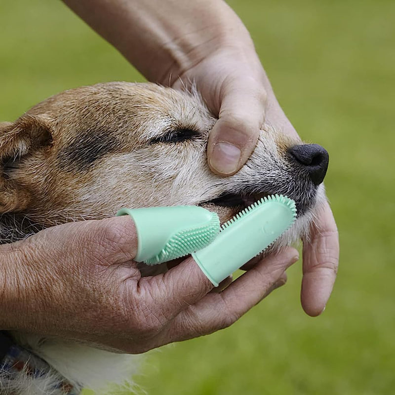 Dog Finger Toothbrush, 6 Pack Cat Toothbrushes, Two Finger Toothbrush for Pet's Dental Care Teeth Cleaning - PawsPlanet Australia