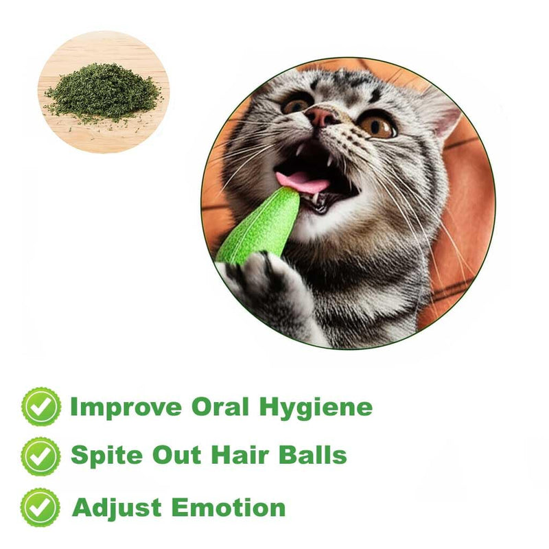Cat Toys Catnip for Indoor Cats, 3 Pack Feather Tail Mice Toys, Interactive Cat Toys for Kittens, Chew & Chase Mouse Shaped with Organic Catnip - PawsPlanet Australia