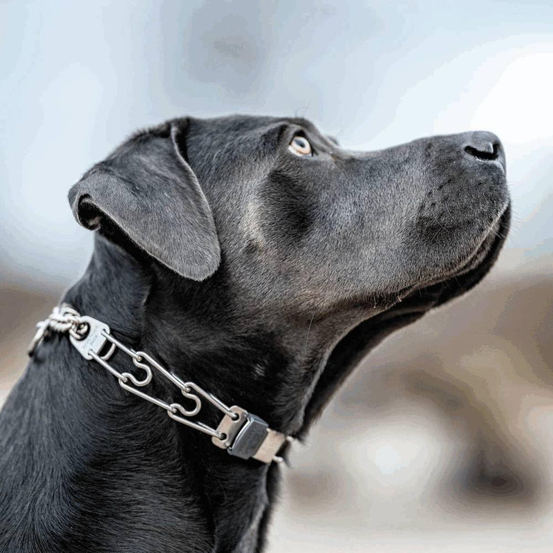 Coastal Pet Herm. SPRENGER Stainless Steel ClicLock for Prong Collars - Durable & Secure Collar Attachment - Pet Training Buckle with Quick-Release Functionality - Fine - PawsPlanet Australia